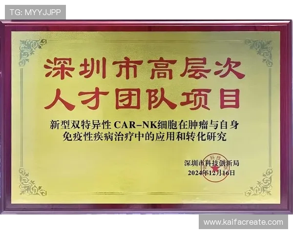 凯发天生赢家一触即发手机登录账号安全措施，确保你的游戏资产安全无忧